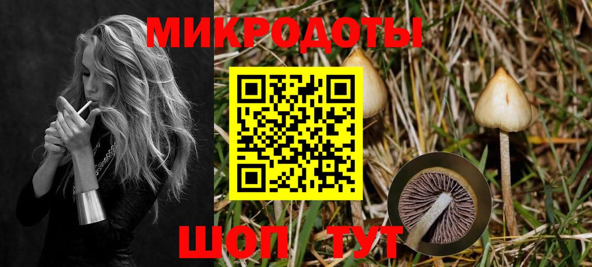 Псилоцибиновые грибы GOLDEN TEACHER Краснокамск